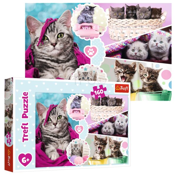 puzzles-160-lovely-kittens-15371-