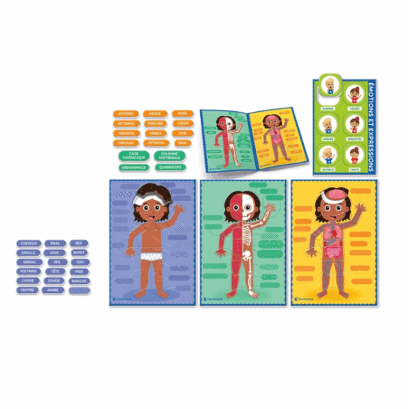 Le corps humain Montessori - Clementoni - Image 3