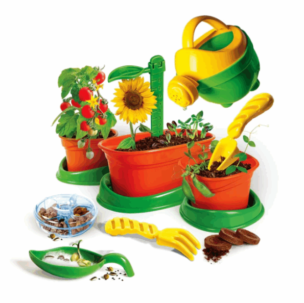 Les apprentis Botaniques - Clementoni - Image 2