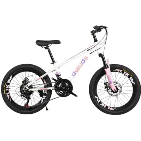 Vélo 20 pouces Bicyclette pour 8 ans et plus