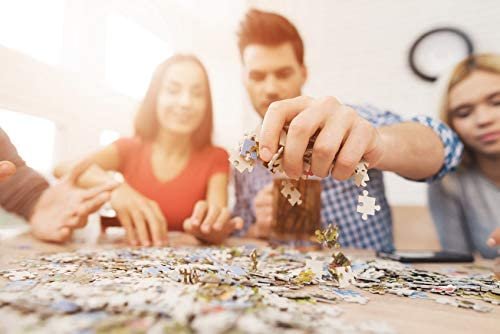 Trefl - Puzzle 1000 - New York à l'Aube – Image 2