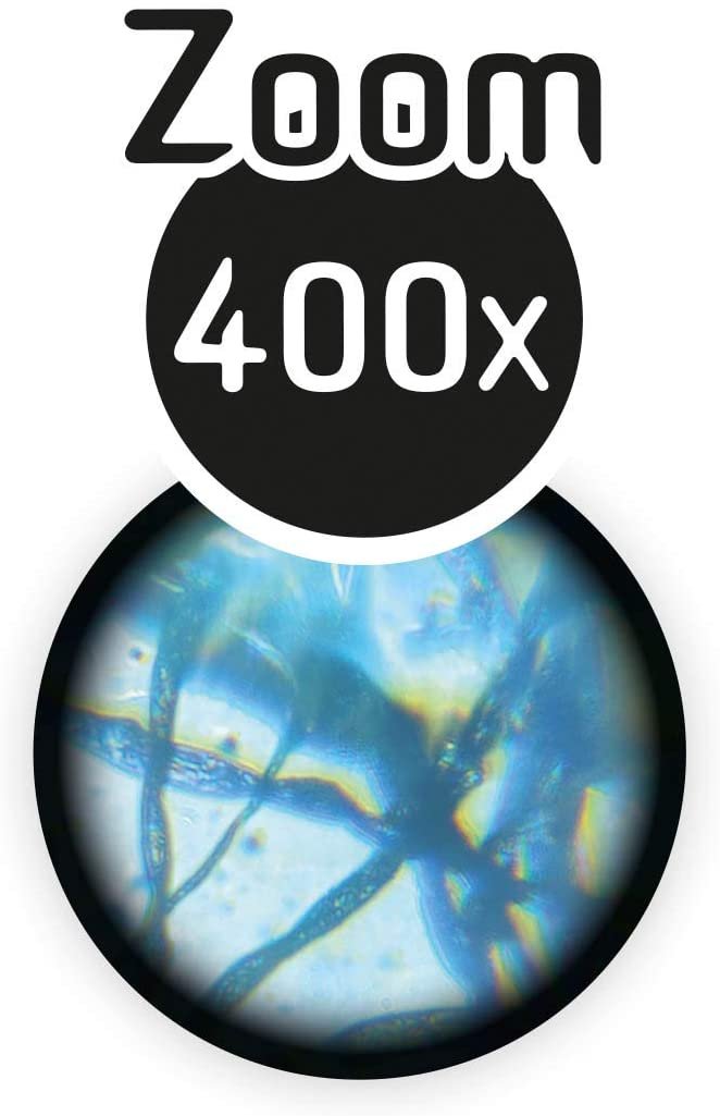 Microscope 15 Expériences - Buki – Image 5