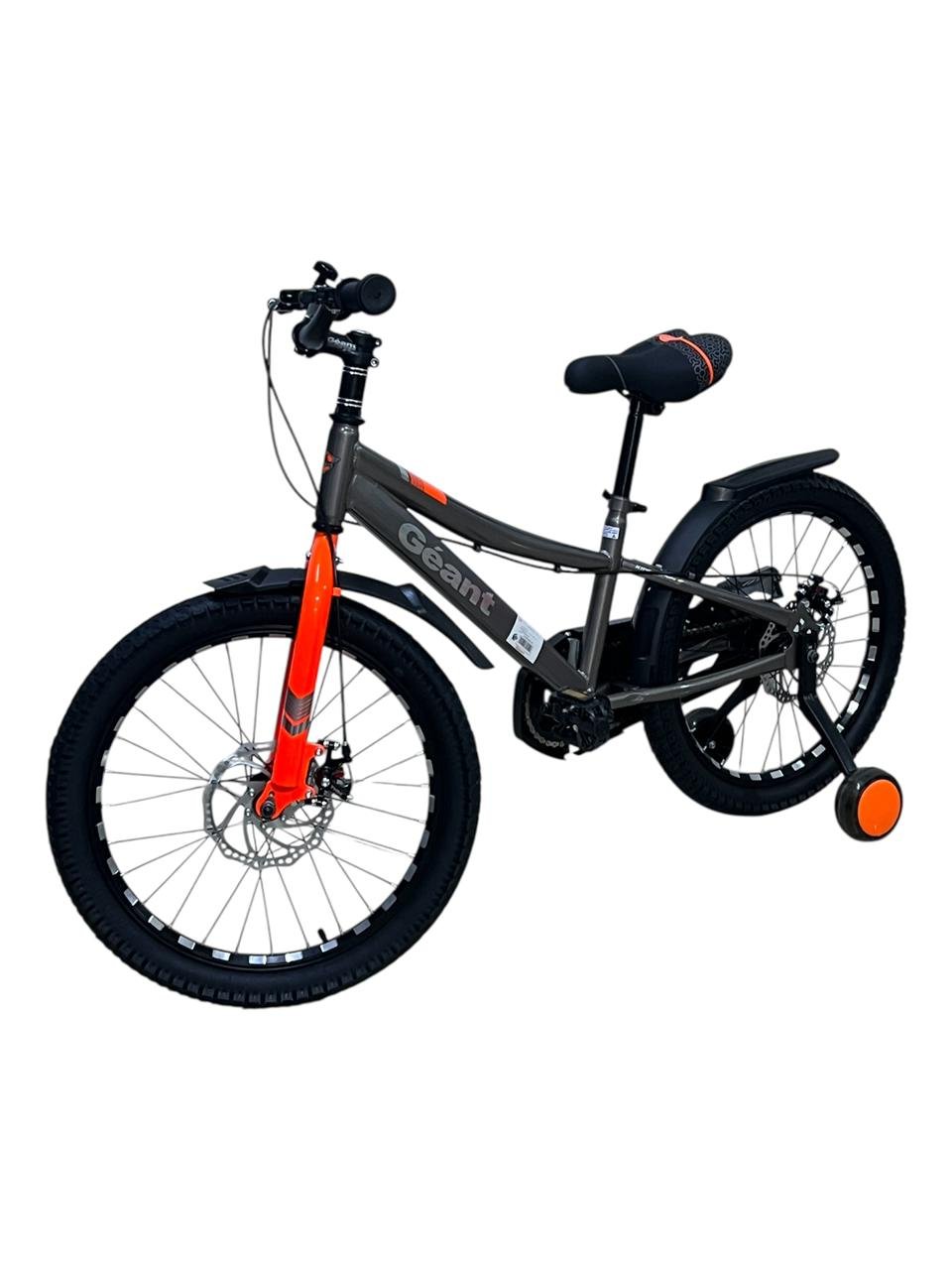 Velo 20 pouces avec freins à disques - Bicyclette de 7 à 12 ans Gris