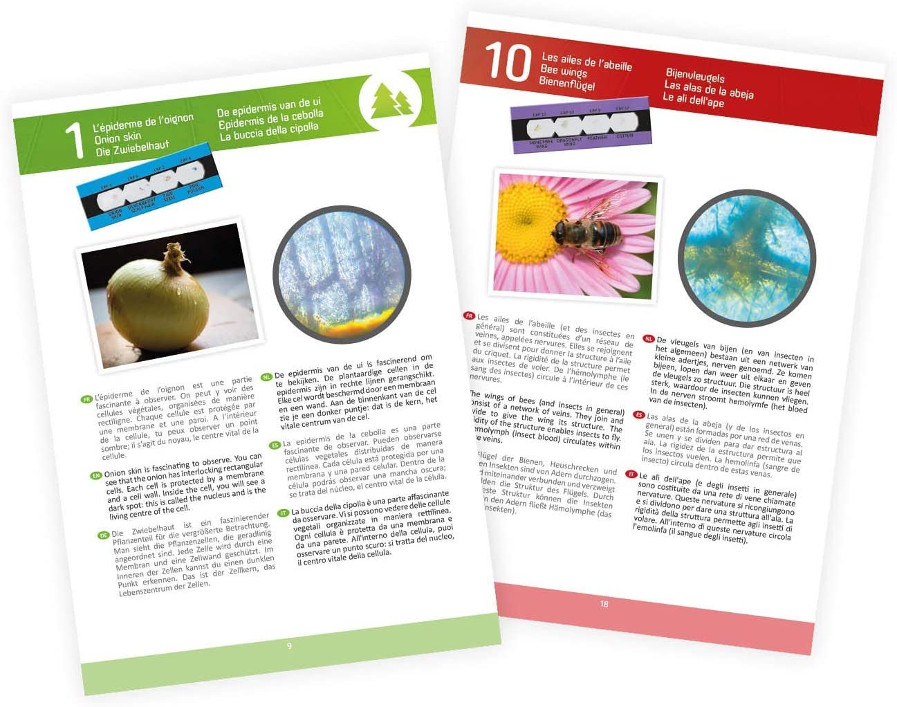 Microscope 15 Expériences - Buki – Image 4