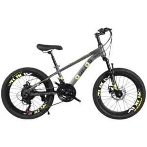Vélo 20 pouces Bicyclette pour 8 ans et plus