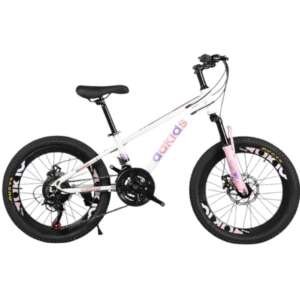 Vélo 20 pouces Bicyclette pour 8 ans et plus
