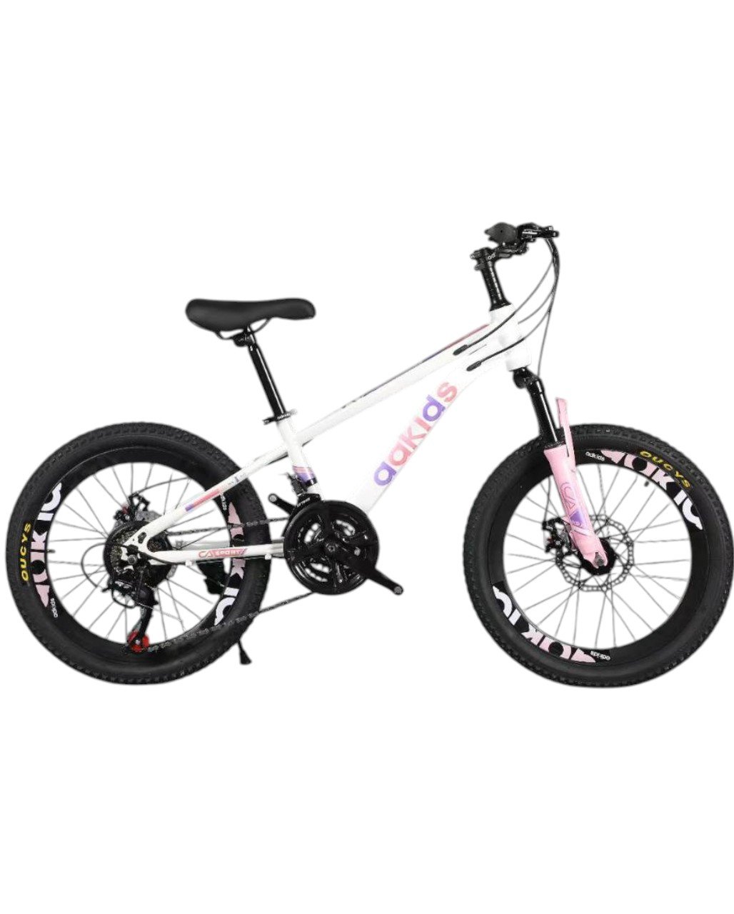 Vélo 20 pouces Bicyclette pour 8 ans et plus