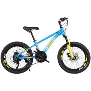 Vélo 20 pouces Bicyclette pour 8 ans et plus