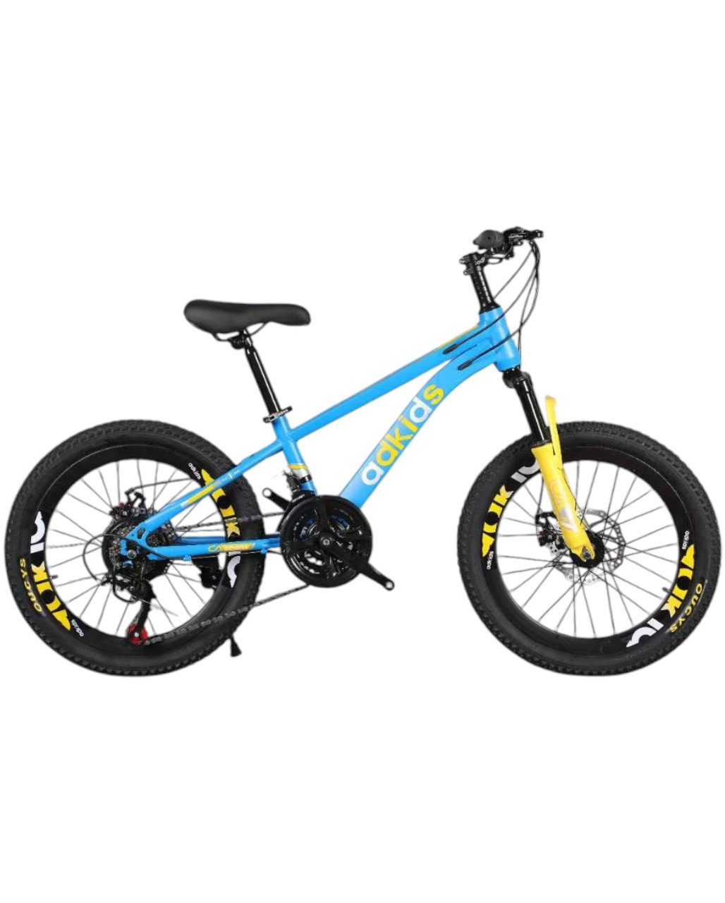 Vélo 20 pouces Bicyclette pour 8 ans et plus