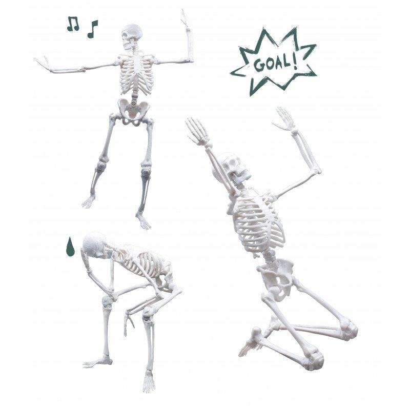 Squelette Géant Articulé 45 cm - Buki – Image 4