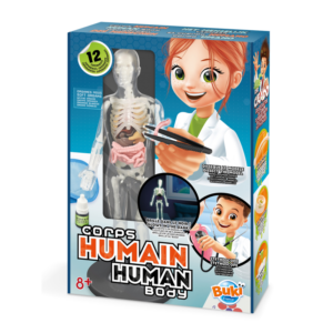 Squelette Corps humain - Buki