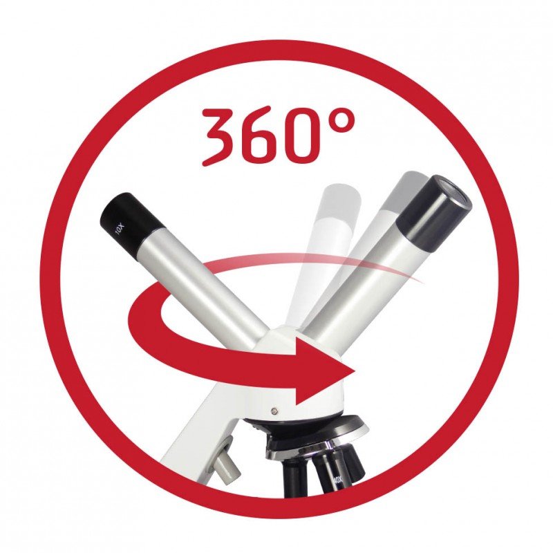 Microscope 50 expériences - Buki – Image 4