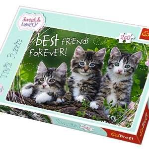 Trefl - Puzzle 260 pièces - Best Friends Forever