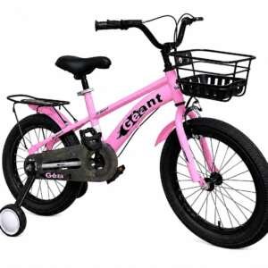 Vélo 16 pouces en Acier - Bicyclette de 4 à 8 ans Rose