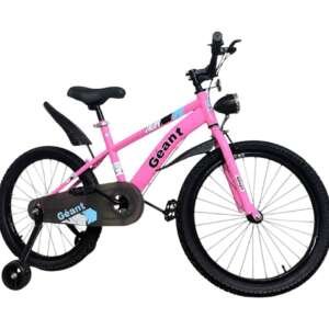 Vélo 20 pouces en acier- Bicyclette de 7 à 12 ans